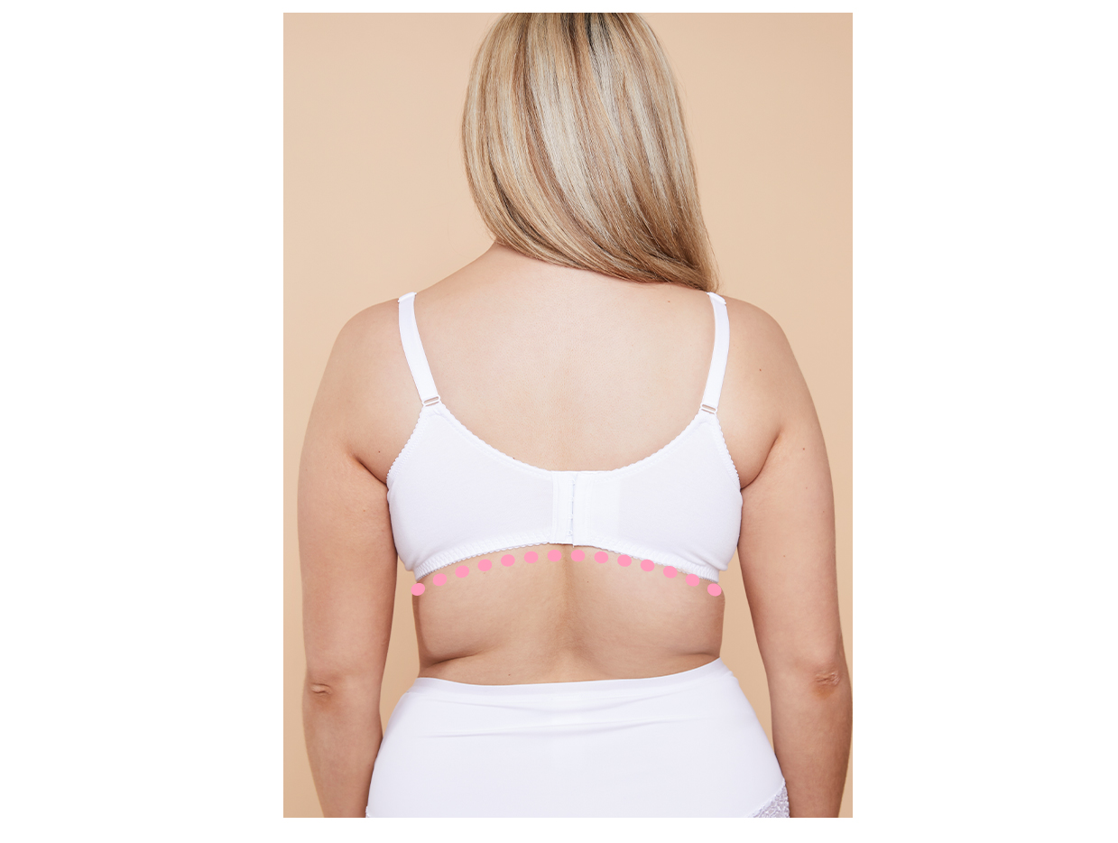 Bra Fitter Help Plus Size Woman Find Perfect Fit. Back View Stock Photo -  Image of proper, band: 281187356